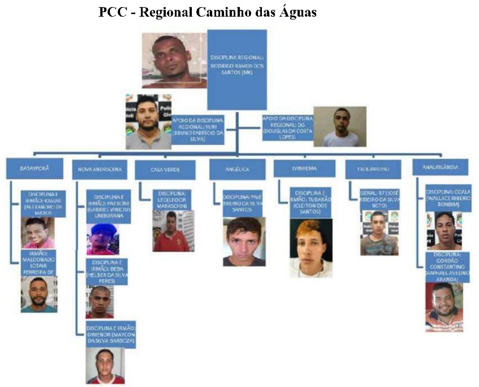 Estrutura da organização criminosa - Foto: Reprodução/Processo do TJMS